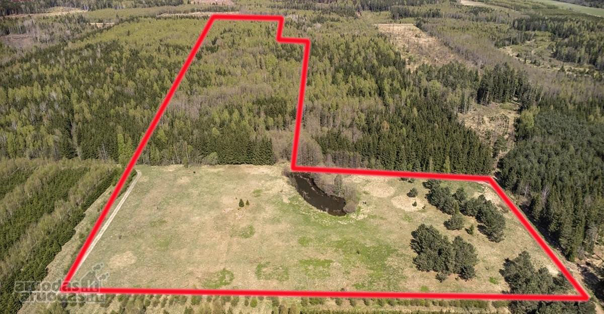 Sklypai Kuniginės kaime 565.42 ir 252.46 arų ploto